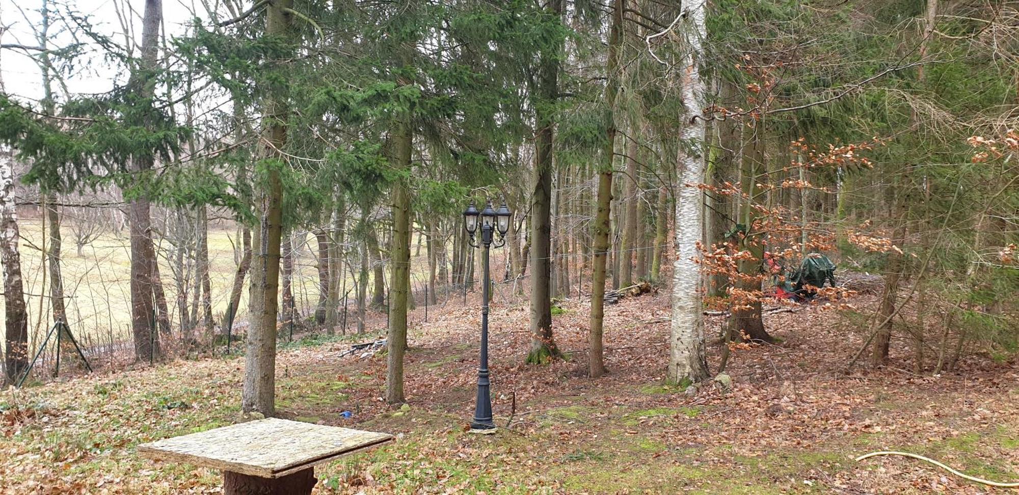 Waldhaus Hempe Villa Tabarz Exteriör bild