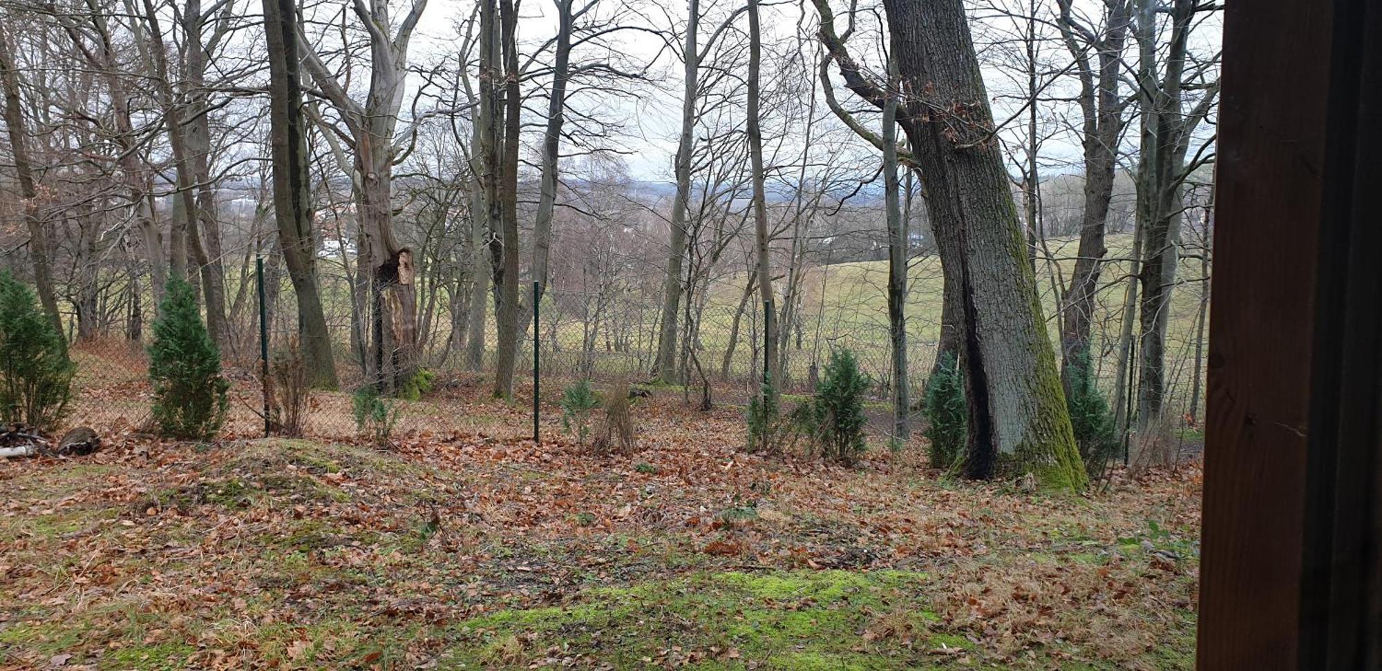 Waldhaus Hempe Villa Tabarz Exteriör bild