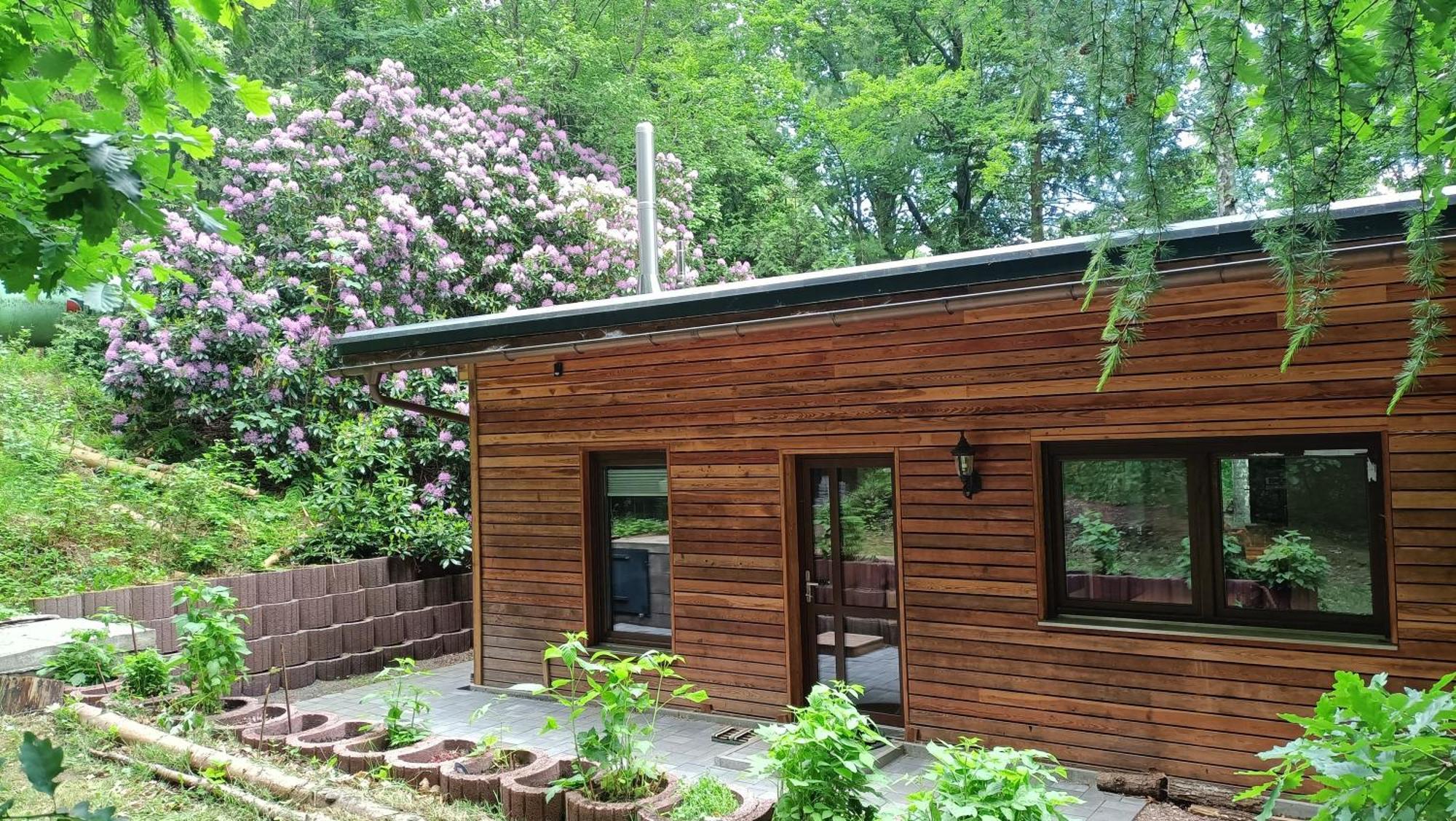 Waldhaus Hempe Villa Tabarz Exteriör bild