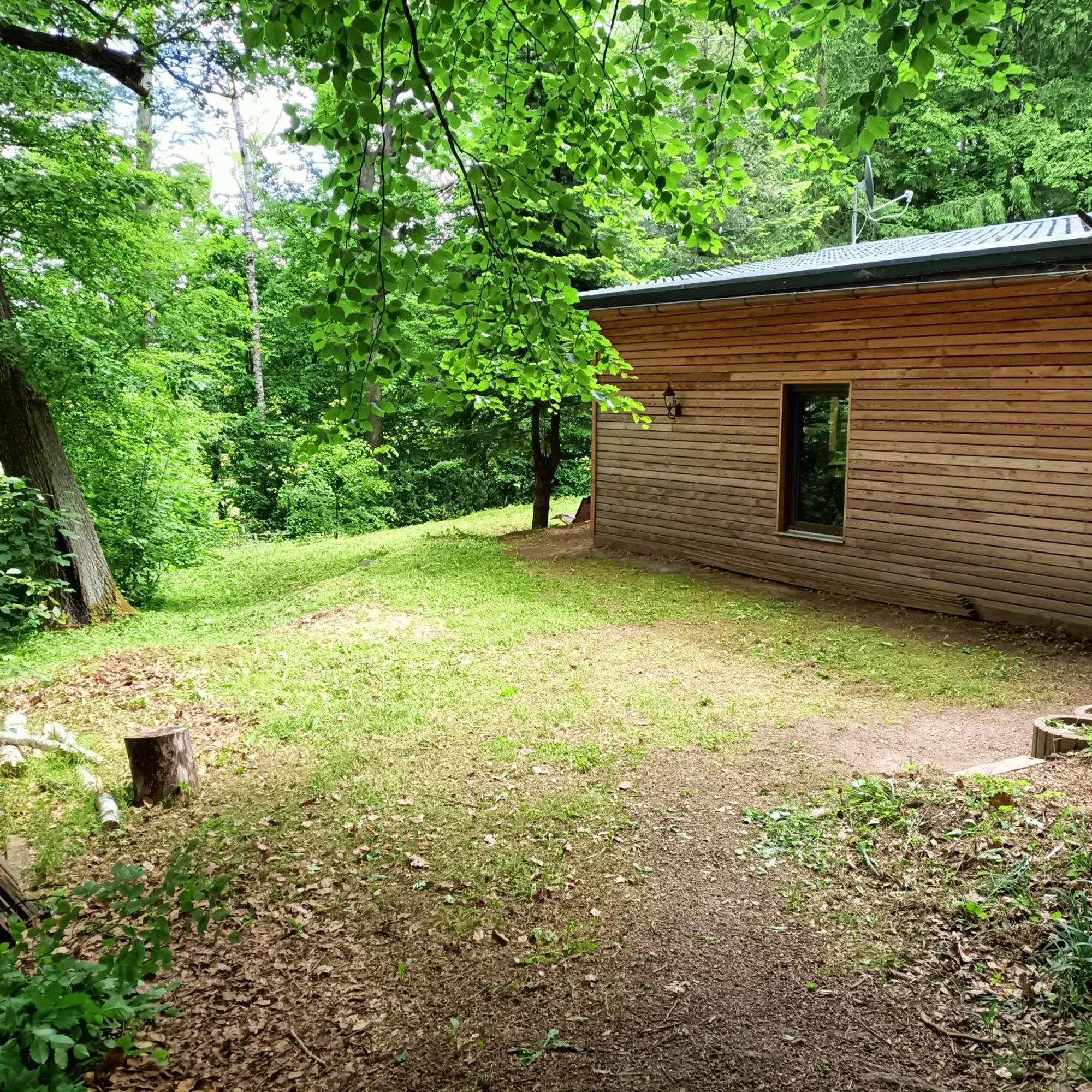 Waldhaus Hempe Villa Tabarz Exteriör bild
